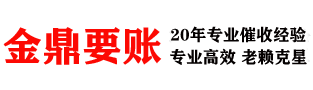 大丰收债公司